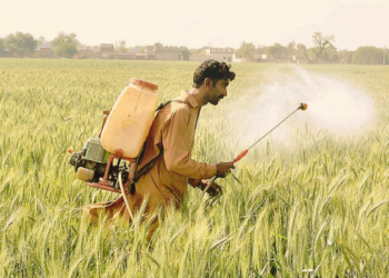 13 years on, Sepa still sleeps over crucial study on pesticides