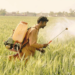 13 years on, Sepa still sleeps over crucial study on pesticides