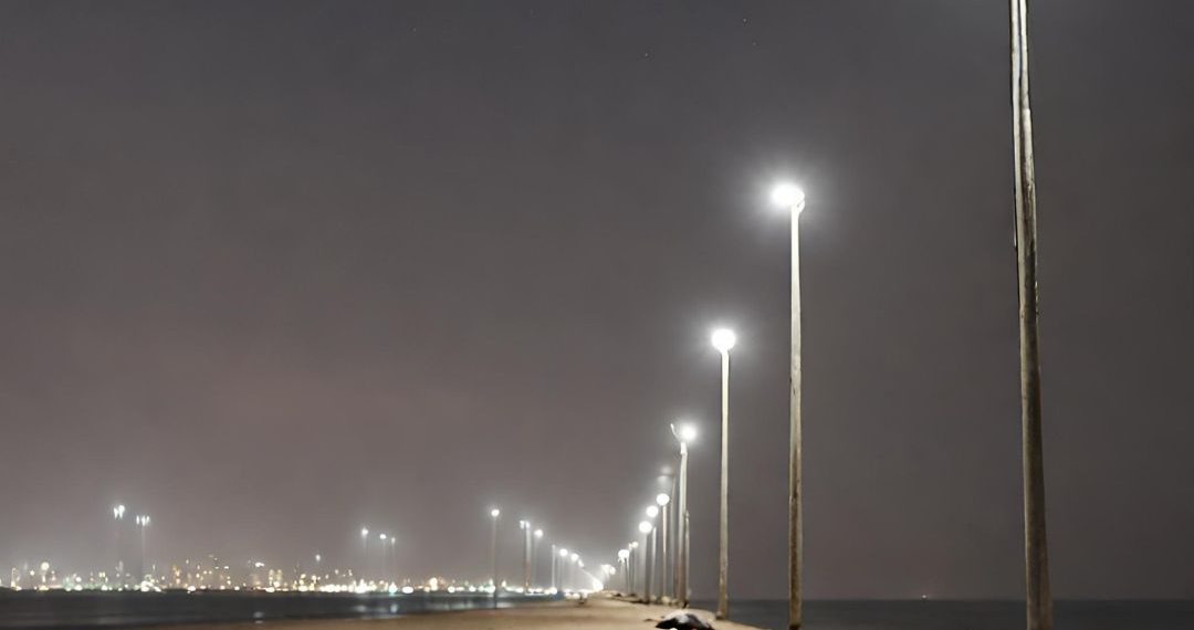 World Bank Pulls Funding for Mauripur Road’s Second Phase, Citing Turtle Risk