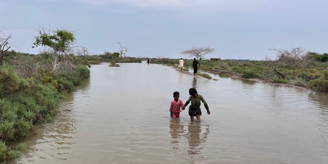 Budget 2024-24: Sindh PDMA budget cut by 35.9pc despite heatwaves, flood forecasts