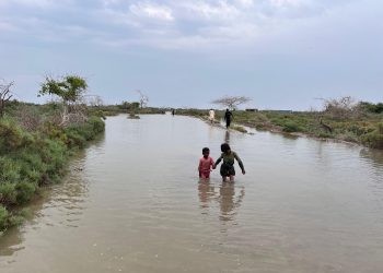 Budget 2024-24: Sindh PDMA budget cut by 35.9pc despite heatwaves, flood forecasts