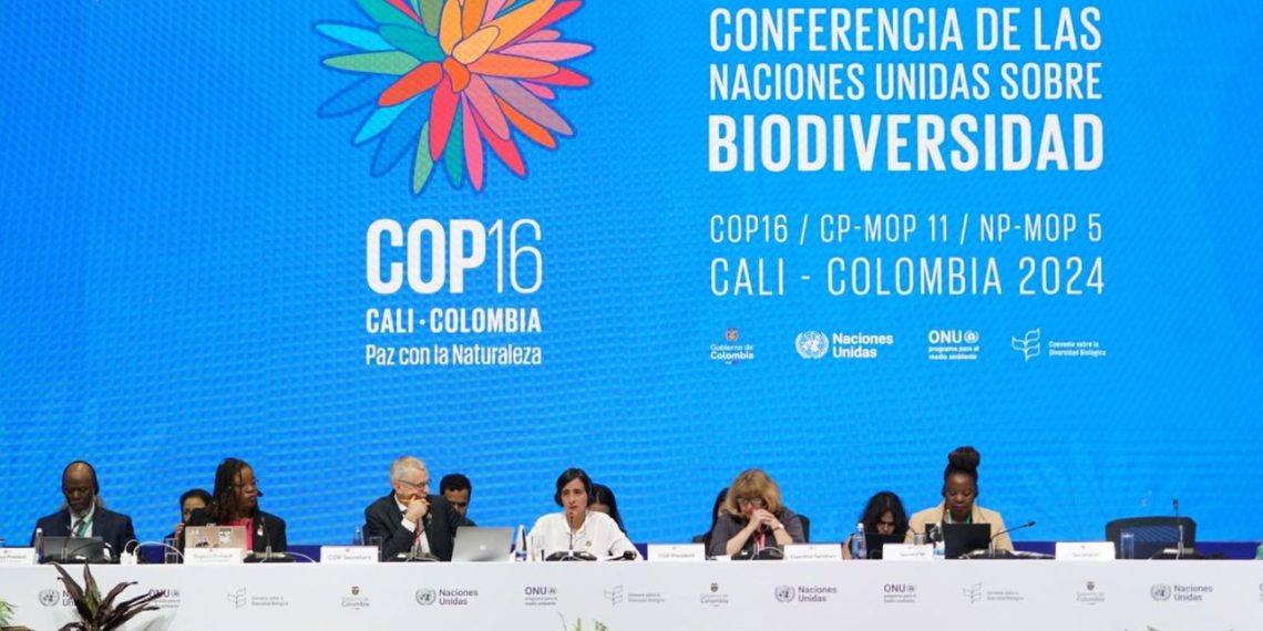 One against many: Pakistan’s solo fight for biodiversity funds at COP16 