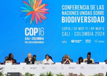 One against many: Pakistan’s solo fight for biodiversity funds at COP16 