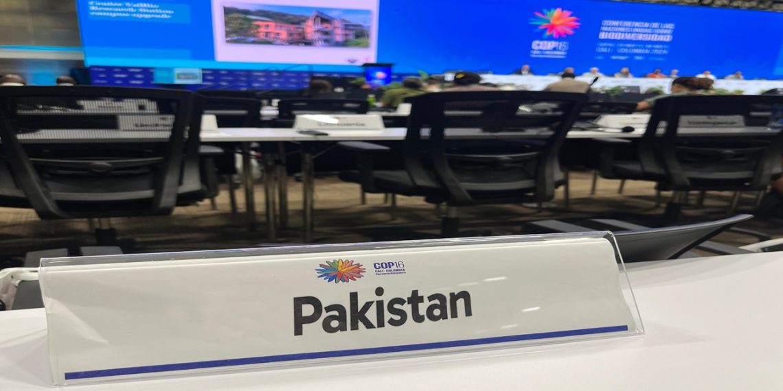Global biodiversity goals: Pakistan struggles at COP16