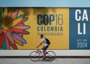 COP16 CBD to convene in Colombia: Pakistan commits to biodiversity but falls short of action