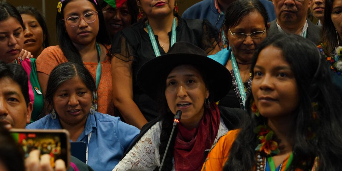 Indigenous rights in Pakistan: missing voices in global conservation