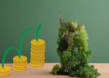 Conservation for cash: Pakistan’s untapped biodiversity credit opportunity