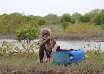 Pakistan’s Million-Making Mangroves Need Fresh Water to Survive