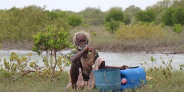Pakistan’s Million-Making Mangroves Need Fresh Water to Survive